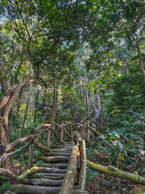 4 numaralı patika deniz seviyesinden 470 ila 859 metre yükseklikte yol alıyor..
