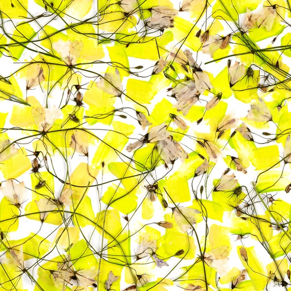 Płynny Wzór Suszonych Tłoczonych Kwiatów Żółtym Tle Minimalistyczna Sztuka Drukowania — Zdjęcie stockowe