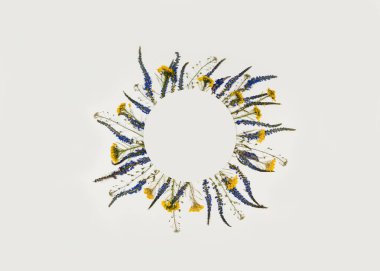 Kurumuş kır çiçeklerinin şekli. Yazı için daire şeklinde yerleri var. Tebrik kartı için maket, düğün davetiyesi. Soyut kompozisyon.