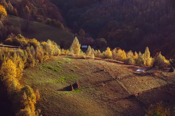 Beautiful rural landscape with colorful autumn trees. Holbav, Romania.