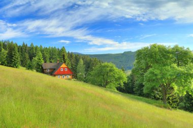 Summer landscape with cottage on mountain meadow clipart