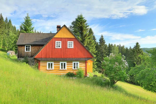 山上草地上漂亮的木制小屋 图库图片
