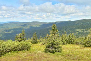 Çek Cumhuriyeti 'ndeki Krkonose Dağları' nın manzarası
