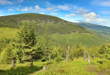 Çek Cumhuriyeti 'ndeki Krkonose Dağları' nın manzarası