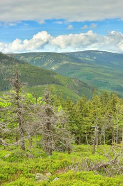 Çek Cumhuriyeti 'ndeki Krkonose Dağları' nın manzarası