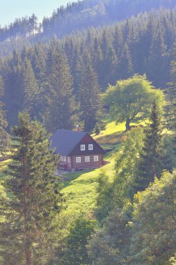 Çek Cumhuriyeti 'ndeki güzel dağ kulübesi