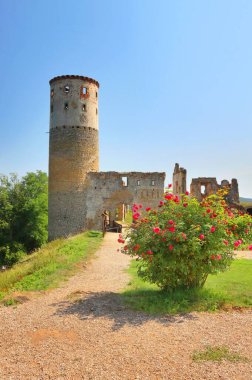 Çek Cumhuriyeti 'nde Zviretice Kalesi' nin taş harabeleri