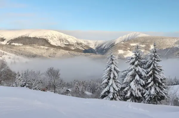 Dev dağlarda Snezka zirvesi olan karlı bir peri masalı.