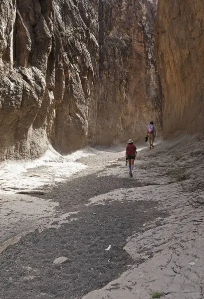 Turistler, Texas, ABD 'deki Big Bend Çiftlik Parkı' ndaki Kapalı Kanyon 'da yürüyorlar.