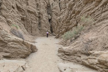 Adam Kaliforniya 'daki Anza Borrego Eyalet Parkı' nda bir kanyona giriyor. Slot 'ta Kanyon Yürüyüşü. 