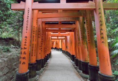 Kyoto, Japan - December 27, 2023: Empty path with perspective framed by vermillion torii gates. Fushimi Inari Shrine. clipart