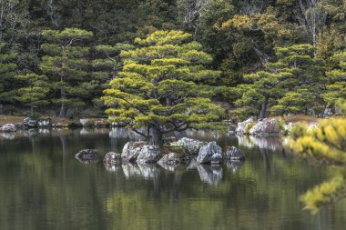 Ayna Göleti 'nde çam ağacı olan küçük bir ada. Japonya 'daki Kinkaku-ji, Kyoto' da Japon gezinti bahçesi. Zen tipolojisi kaya bileşiminden görülür..