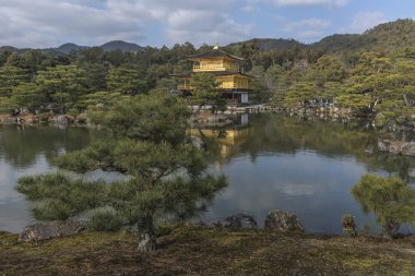 Kyoto, Japonya - 29 Aralık 2023: Altın Pavyon Kinkakuji Rokuon-ji 'deki Shariden olarak da bilinir..