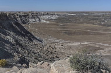Çorak Topraklar 'ın geniş bir alanı ABD' nin Arizona eyaletindeki Petrified Forest Ulusal Parkı 'nın ortasındaki bir yol üzerinde yer alıyor. Mavi Mesa manzarası.