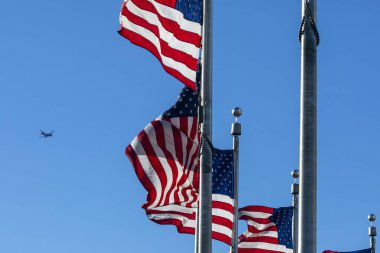 Amerikan bayrakları açık mavi gökyüzüne karşı rüzgarda dalgalanıyor. Arka planda bir uçak kalkıyor. Vatansever görünüm.