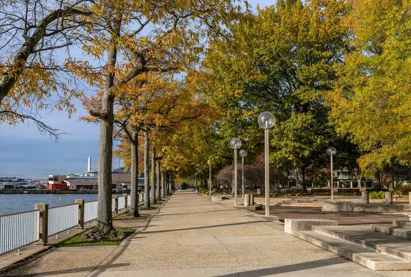 Parlak bir sonbahar günü. Güneybatı Waterfront, ABD 'nin başkenti Washington' da yer alan bir mahalledir. Kamu parkı ve Washington Kanalı boyunca yürüme yolu.