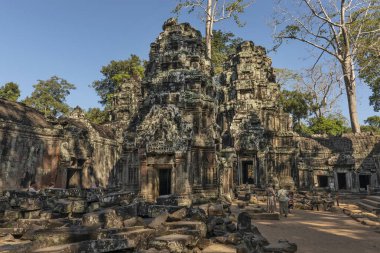 Ta Prohm, Angkor, Kamboçya - 30 Aralık 2024: Ta Prohm tapınağı ağaçlarla kaplı. Taşa oyulmuş Tanrıça Prajnaparamita temsilcileri..