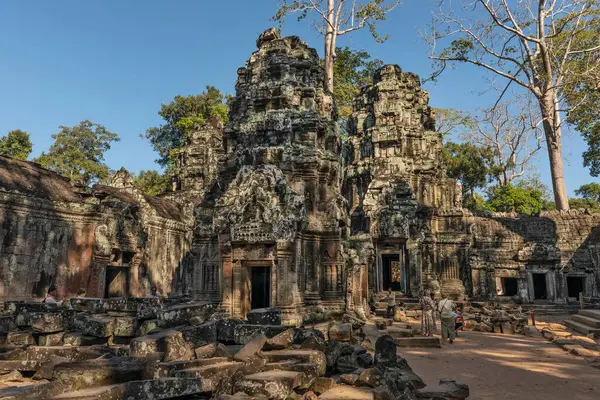 Ta Prohm, Angkor, Kamboçya - 30 Aralık 2024: Ta Prohm tapınağı ağaçlarla kaplı. Taşa oyulmuş Tanrıça Prajnaparamita temsilcileri..