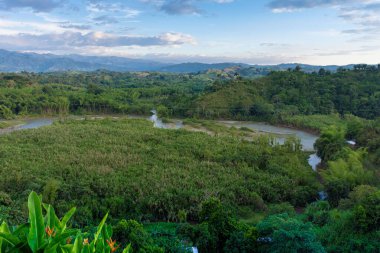 Orman manzarası bir nehirle kesişiyor
