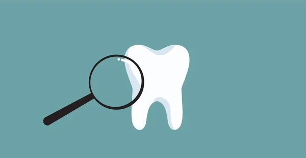 Gigi Molar Putih Bersih Sehat Yang Diuji Dengan Pembesar - Stok Vektor