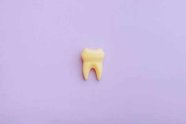 Little Toy Tooth Colored Stained Purple Background — Stok Foto