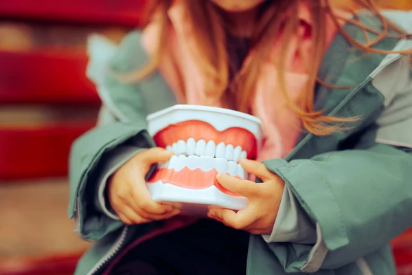 Mała Dziewczynka Trzyma Ząb Modelu Prezent Dentysty — Zdjęcie stockowe