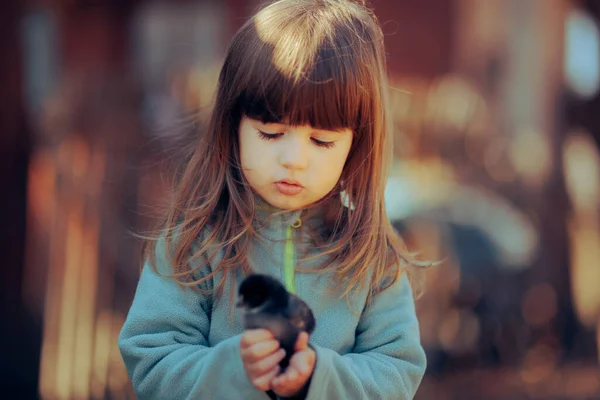 Счастливый Ребенок Играет Маленьким Цыпленком Свежем Воздухе Весной — стоковое фото