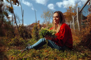 Kırsal bir bahçeden maydanoz toplayan neşeli kadın. Memlekette yetişen organik yeşillik hasat eden mutlu insan. 