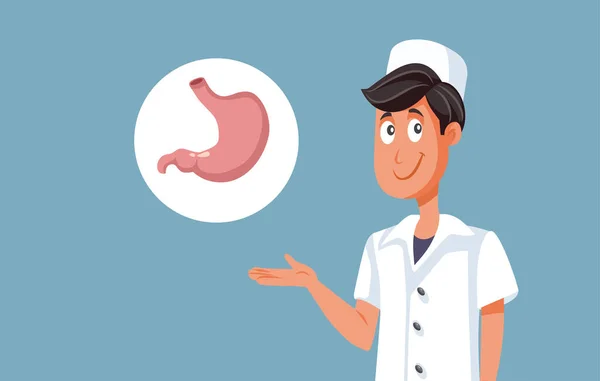 Gastroenterolog Doktor Vektör Mide Tıbbı Llüzyonunu Gösteriyor Cerrah Mide Müdahalesiyle — Stok Vektör