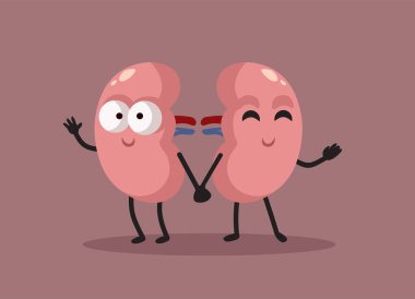 Mutlu Böbrekler Elele Vektör Çizgi Film Karakterleri