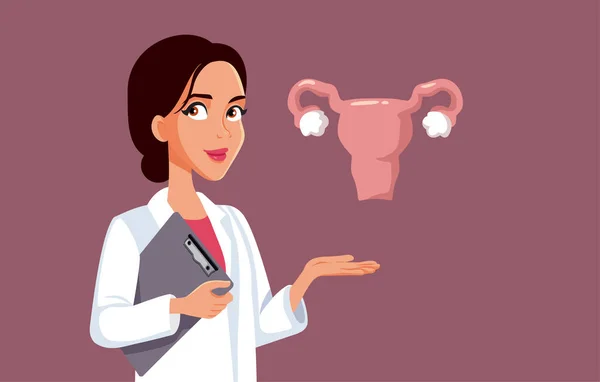 Gynaecoloog Dokter Toont Een Uterus Medische Illustratie Vector Cartoon — Stockvector