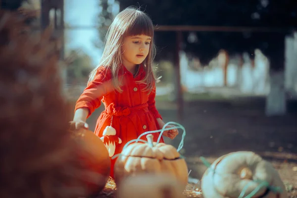 Маленька Дівчинка Перевіряє Хеллоуїн Джек Ліхтар Прикраса Гарбузи — стокове фото