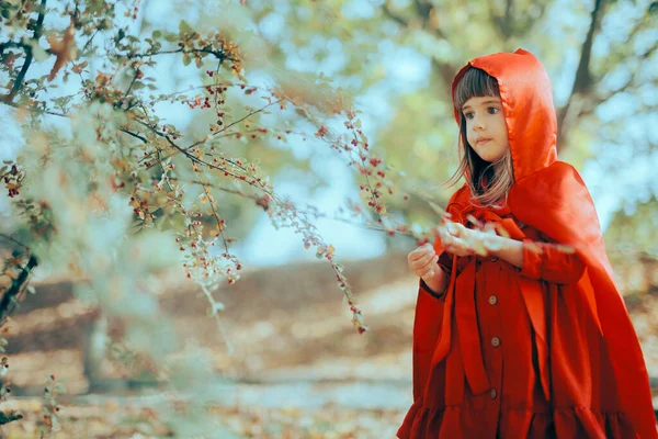 屋外で小さな赤い乗馬フードの衣装を着ている少女 — ストック写真