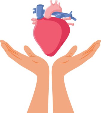 Bir Kalp Organı Bağışı Kavramsal İllüzyon Tutuşu