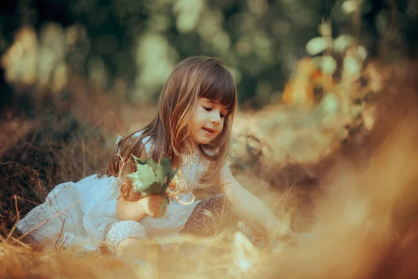Menina Criança Escolhendo Folhas Brincando Livre Natureza — Fotografia de Stock