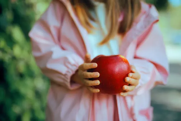 Hands Child Holding Big Read Apple Snack — Stok Foto