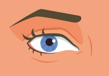 Bir İnsan Gözü Vektörü Çizim Çiziminin Ayrıntıları