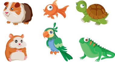 Evcil hayvan Simgeleri Çizgi film Dizayn Maskotu Tasarımı