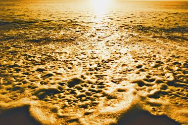 Güzellik altın plajı. Güzellik ışığını kapat. Soyut doğa arkaplanı.