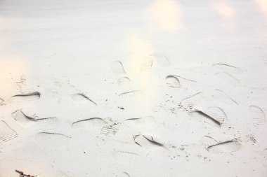 Bilinmeyen sahibinin sahilde pek çok ayak izi var.