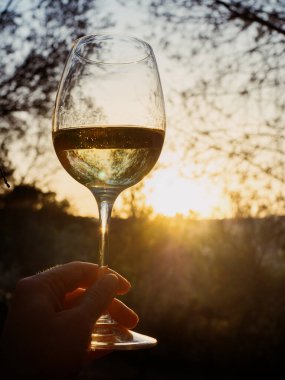 Vertical closeup of a woman hand holding a glass of white wine outdoors in the golden sunlight. Trees in the background. Summertime in Sardinia, Italy. clipart