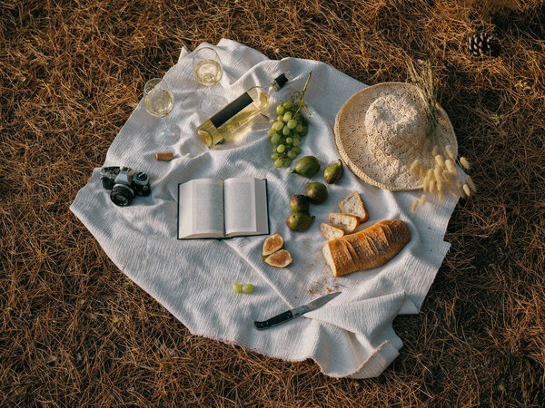 Горизонтальный прямо сверху снимок средиземноморского пикника для двоих в сардинском сосновом лесу. Вино, хлеб и фрукты, шляпа, книга и винтажная камера.