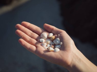 Güneş ışığıyla aydınlanmış bir kadının, karanlık kum ve kayalara karşı narin deniz kabuklarını tutan yatay yakın çekimi..