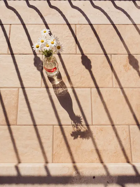 Güneş Işığı Altında Şişe Kola Şişe Papatyasında Balkon Gölgesi Kalıpları, Dikey Durgun Yaşam 