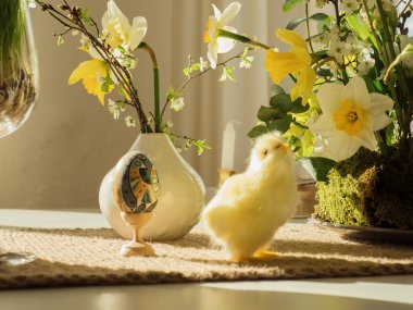 Pysanka, nergis ve Pofuduk Piliç Oyuncak, Yatay Yakın Çekim