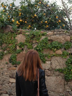 Sardunya, Olbia 'da Limon Ağacı ve Taş Duvarın yanında duran Kızıl Saçlı Kadın Dikey Görünümü
