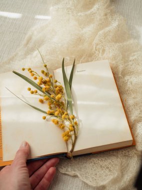 Romanzo Page ve Mimosa 'nın Beyaz Kaşmir Dalı Üzerine Açık İtalyan Kitabı