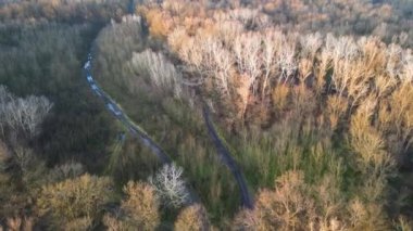 Drone flight over Lunca Muresului National Park in Romania, Europe.