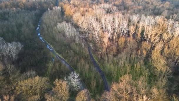ルーマニア ヨーロッパのルンカ ムスライ国立公園上空のドローン飛行 — ストック動画
