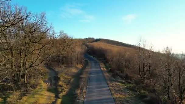 Voo Sobre Uma Estrada Rural Através Floresta Zarand Mountains Roménia — Vídeo de Stock